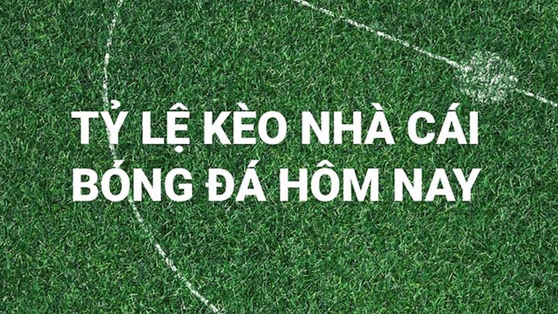 Các tỷ lệ kèo Xoilactv cung cấp